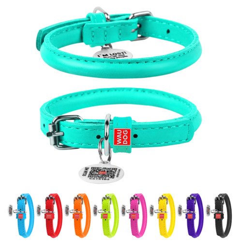 Ошейник для собак кожаный "WAUDOG Glamour" круглый ментолового цвета с QR паспортом