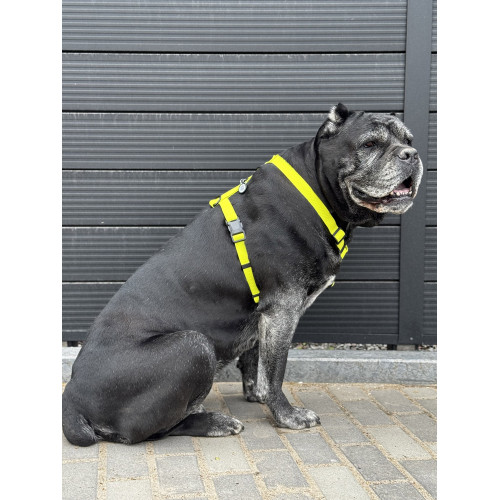 Шлея для собак водостійка WAUDOG Magnet колір "Лимонний"