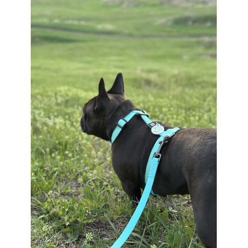 Шлея для собак водостійка WAUDOG Magnet колір "Тіффані"