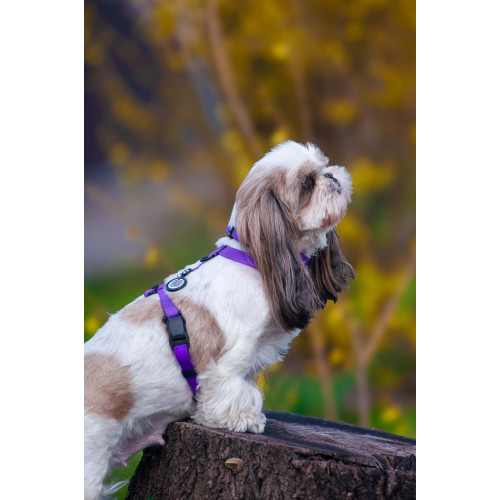 Шлея для собак водостойкая WAUDOG Magnet цвет "Фиолетовый"