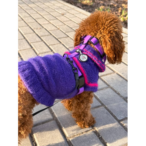 Шлея для собак водостойкая WAUDOG Magnet цвет "Фиолетовый"