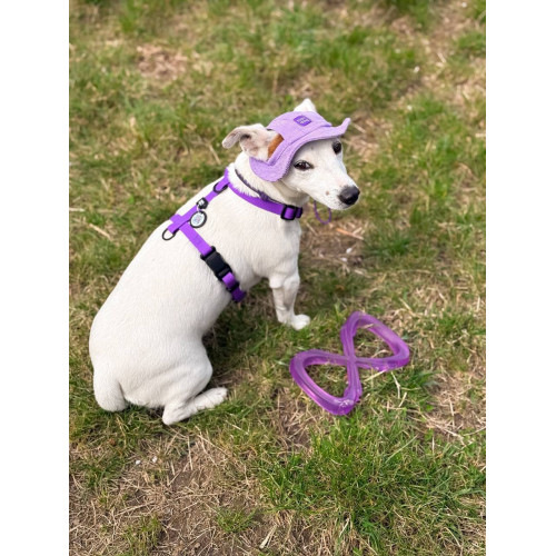 Шлея для собак водостойкая WAUDOG Magnet цвет "Фиолетовый"