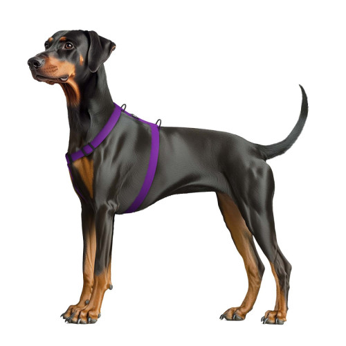 Шлея для собак водостойкая WAUDOG Magnet цвет "Фиолетовый"