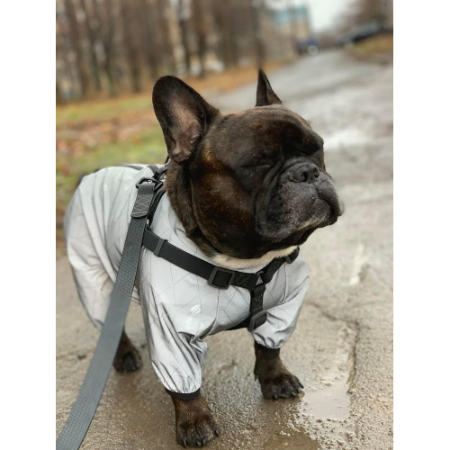 Шлея для собак водостойкая WAUDOG Waterproof с металлическим фастексом "Черная"