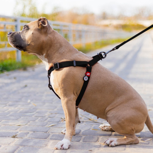 Шлея для собак водостойкая WAUDOG Waterproof с металлическим фастексом "Черная"