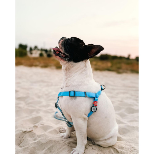 Шлея для собак водостойкая WAUDOG Waterproof с металлическим фастексом "Голубая"