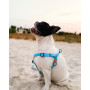Шлея для собак водостойкая WAUDOG Waterproof с металлическим фастексом "Голубая"