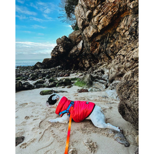 Шлея для собак водостойкая WAUDOG Waterproof с металлическим фастексом "Голубая"