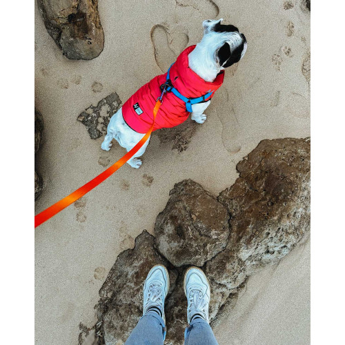 Шлея для собак водостойкая WAUDOG Waterproof с металлическим фастексом "Голубая"