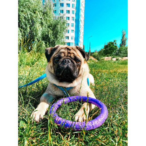 Шлея для собак водостойкая WAUDOG Waterproof с металлическим фастексом "Голубая"