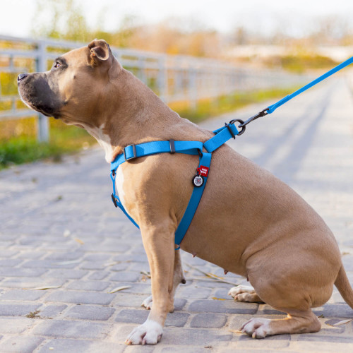 Шлея для собак водостойкая WAUDOG Waterproof с металлическим фастексом "Голубая"