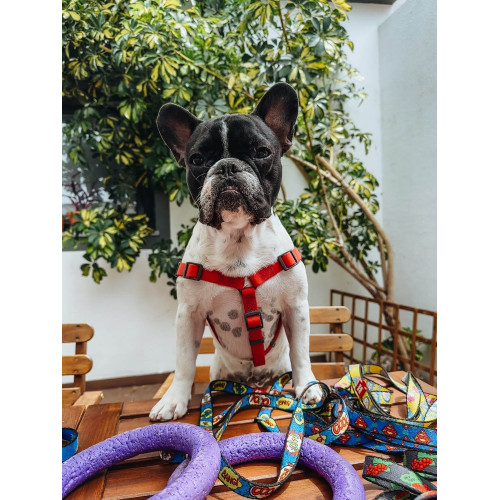 Шлея для собак водостойкая WAUDOG Waterproof с металлическим фастексом "Красная"