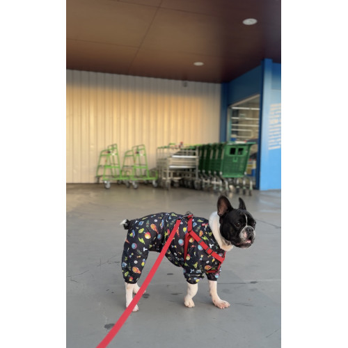 Шлея для собак водостойкая WAUDOG Waterproof с металлическим фастексом "Красная"