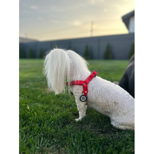 Шлея для собак водостойкая WAUDOG Waterproof с металлическим фастексом "Красная"