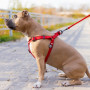 Шлея для собак водостойкая WAUDOG Waterproof с металлическим фастексом "Красная"