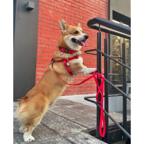 Шлея для собак водостойкая WAUDOG Waterproof с металлическим фастексом "Красная"
