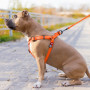 Шлея для собак водостойкая WAUDOG Waterproof с металлическим фастексом "Оранжевая"