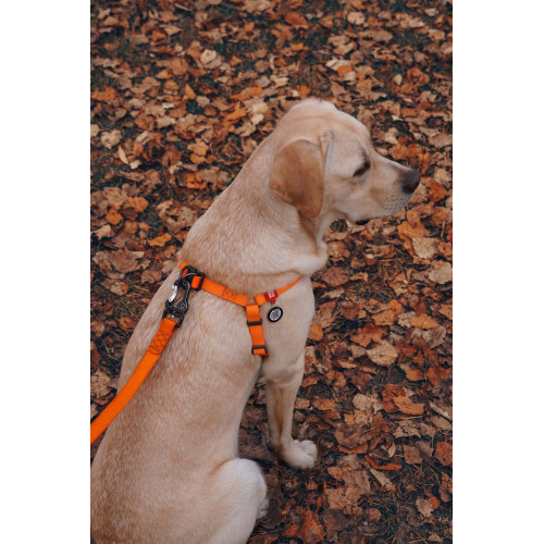 Шлея для собак водостойкая WAUDOG Waterproof с металлическим фастексом "Оранжевая"