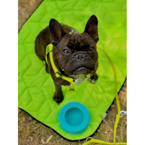 Шлея для собак водостойкая WAUDOG Waterproof с металлическим фастексом "Салатовая"