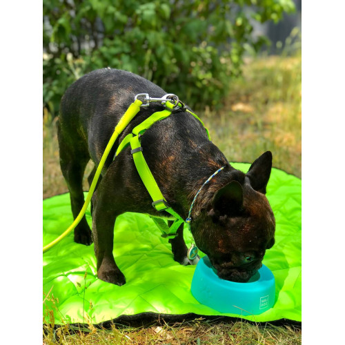 Шлея для собак водостойкая WAUDOG Waterproof с металлическим фастексом "Салатовая"