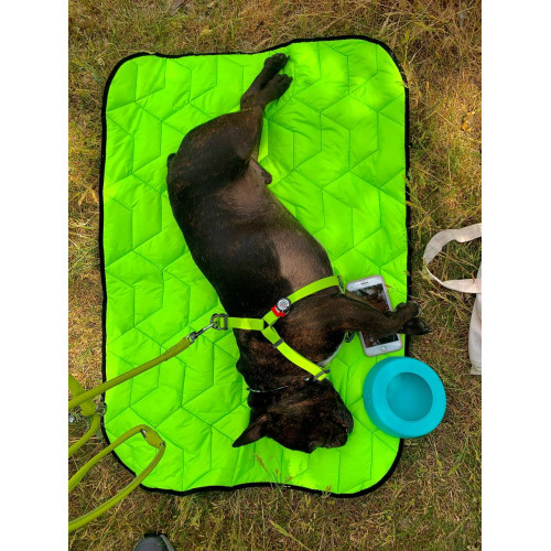 Шлея для собак водостойкая WAUDOG Waterproof с металлическим фастексом "Салатовая"