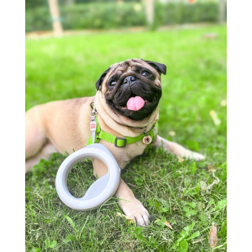 Шлея для собак водостойкая WAUDOG Waterproof с металлическим фастексом "Салатовая"