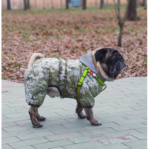 Шлея для собак водостойкая WAUDOG Waterproof с металлическим фастексом "Салатовая"