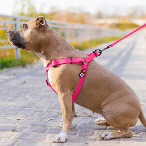Шлея для собак водостійка WAUDOG Waterproof з металевим фастексом "Рожева"