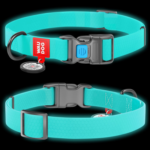 Світонакоплювальний нашийник для собак WAUDOG Waterproof з пластиковою пряжкою-фастекс