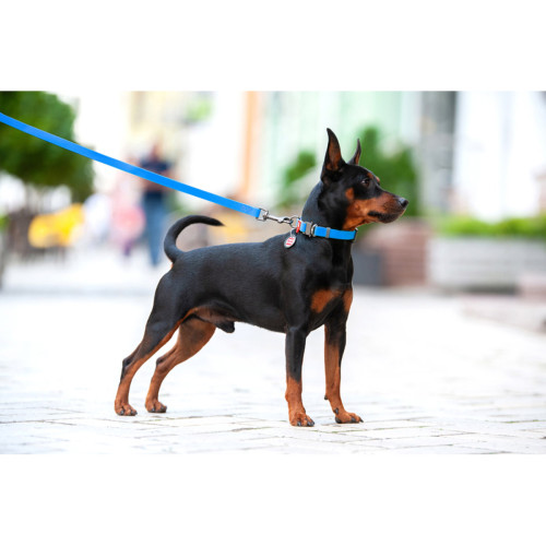 Ошейник для собак водостойкий WAUDOG Waterproof с QR-паспортом голубого цвета