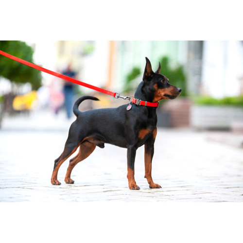 Ошейник для собак водостойкий WAUDOG Waterproof с QR-паспортом красного цвета