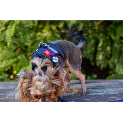 Мягкая шлея для собак WAUDOG Clothes рисунок "NASA21" с QR паспортом