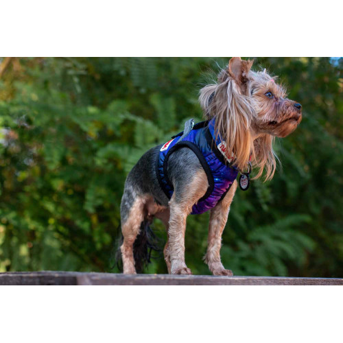 Мягкая шлея для собак WAUDOG Clothes рисунок "NASA21" с QR паспортом