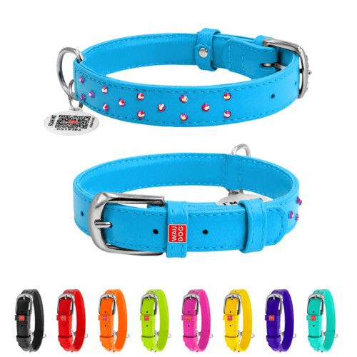 Нашийник для собак WAUDOG Glamour шкіряний, блакитний, зі стразами