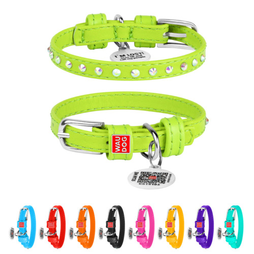 Нашийник для собак WAUDOG Glamour шкіряний салатовий зі стразами та QR паспортом