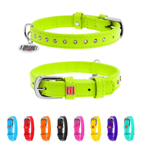 Нашийник для собак WAUDOG Glamour шкіряний салатовий зі стразами та QR паспортом