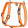 Шлея для собак Н-образная светоотражающая WAUDOG Waterproof цвет "Оранжевый"
