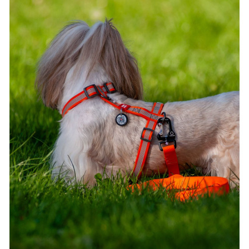 Шлея для собак Н-образная светоотражающая WAUDOG Waterproof цвет "Оранжевый"