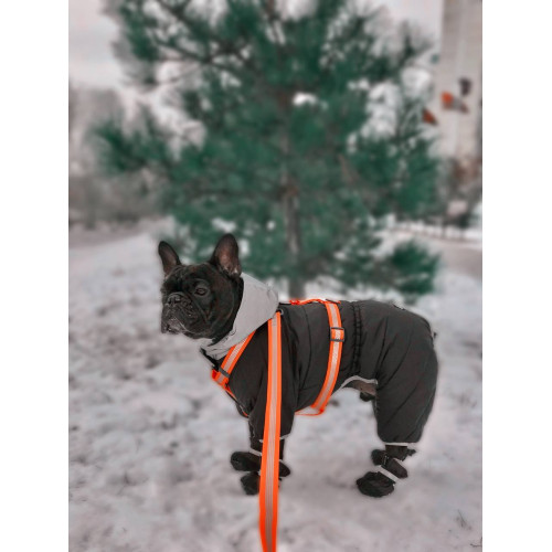 Шлея для собак Н-образная светоотражающая WAUDOG Waterproof цвет "Оранжевый"