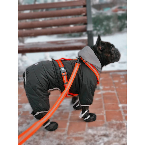 Шлея для собак Н-образная светоотражающая WAUDOG Waterproof цвет "Оранжевый"