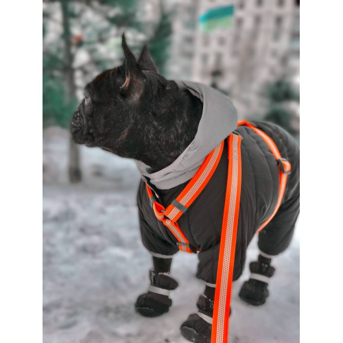 Шлея для собак Н-образная светоотражающая WAUDOG Waterproof цвет "Оранжевый"