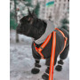 Шлея для собак Н-образная светоотражающая WAUDOG Waterproof цвет "Оранжевый"
