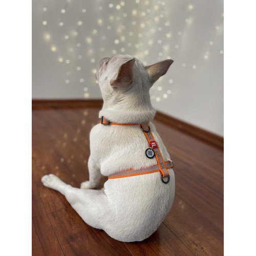 Шлея для собак Н-образная светоотражающая WAUDOG Waterproof цвет "Оранжевый"