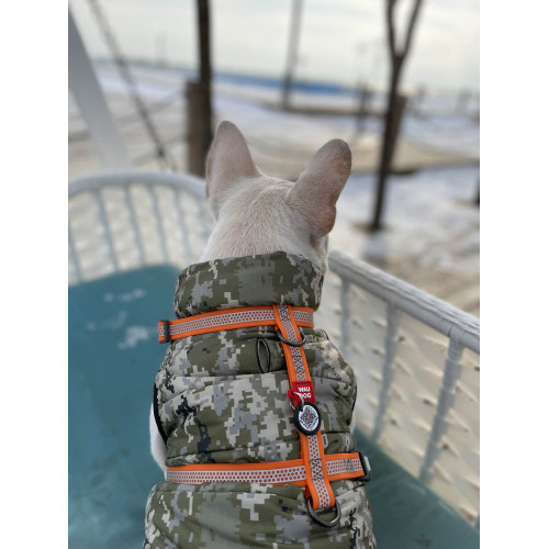 Шлея для собак Н-образная светоотражающая WAUDOG Waterproof цвет "Оранжевый"