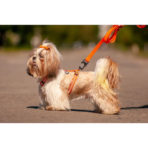 Шлея для собак Н-образная светоотражающая WAUDOG Waterproof цвет "Оранжевый"