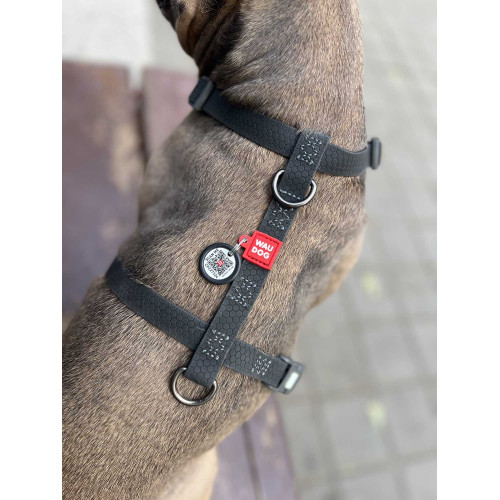 Шлея для собак Н-образная водостойкая WAUDOG Waterproof цвет "Черный"