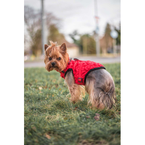 Шлея для собак Н-образная водостойкая WAUDOG Waterproof цвет "Красный"