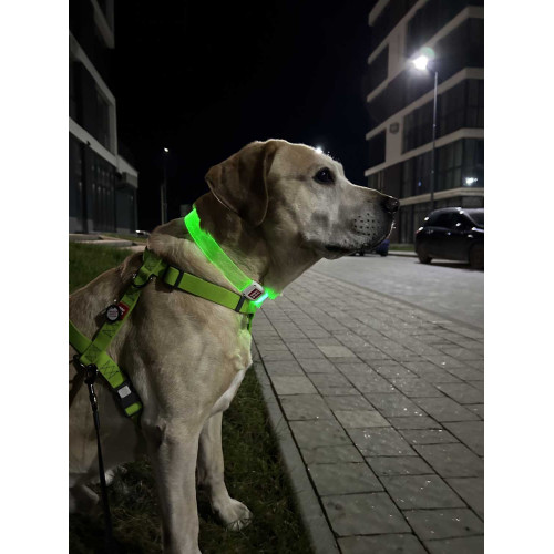 Шлея для собак Н-образная водостойкая WAUDOG Waterproof цвет "Салатовый"