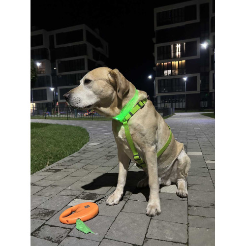 Шлея для собак Н-образная водостойкая WAUDOG Waterproof цвет "Салатовый"