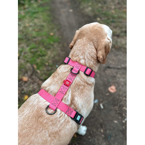 Шлея для собак Н-образная водостойкая WAUDOG Waterproof цвет "Розовый"